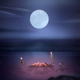 Mysterious goings on in Oxenfree II